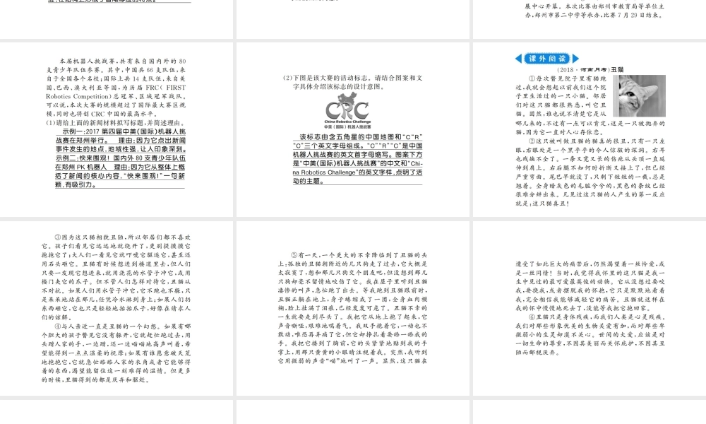 （河南专版）七年级语文上册 第五单元 第16课 猫习题课件 新人教版-新人教版初中七年级上册语文课件