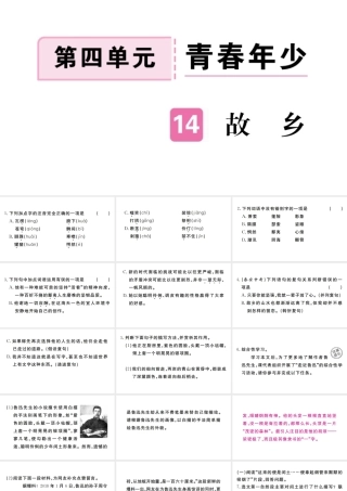 （河南专版）九年级语文上册 第四单元 14 故乡课件 新人教版-新人教版初中九年级上册语文课件