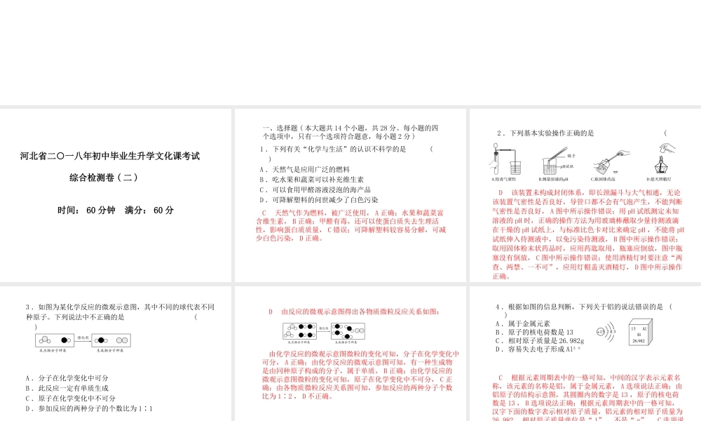 （河北专版）中考化学总复习 第三部分 模拟检测 冲刺中考 综合检测卷（二）课件 新人教版-新人教版初中九年级全册化学课件