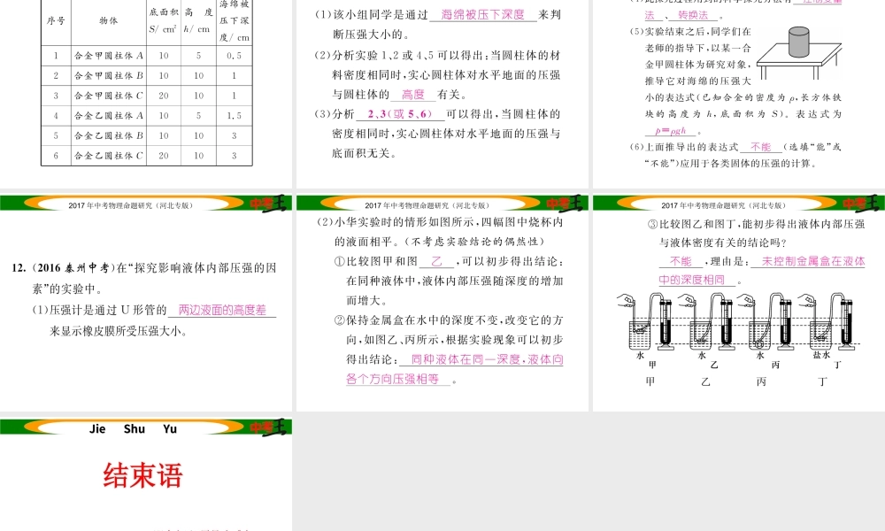 （河北专版）中考物理总复习 第一编 教材知识梳理 第六讲 压强 优化训练8 压强 液体的压强课件-人教版初中九年级全册物理课件