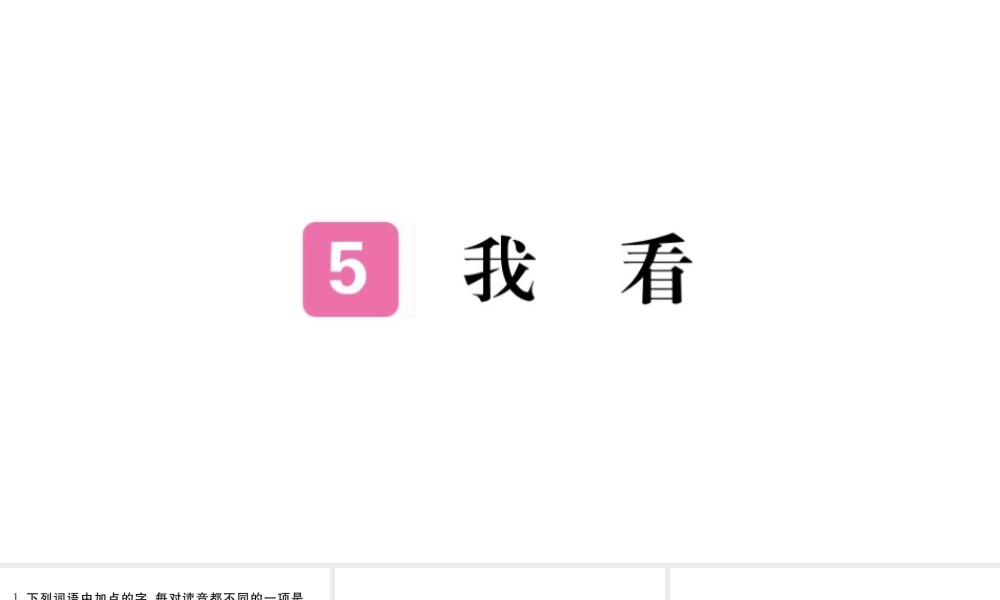 （河南专版）九年级语文上册 第一单元 5 我看课件 新人教版-新人教版初中九年级上册语文课件