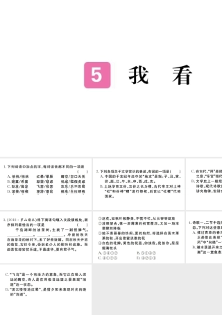 （河南专版）九年级语文上册 第一单元 5 我看课件 新人教版-新人教版初中九年级上册语文课件