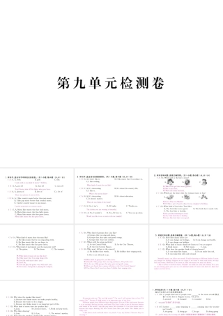 （河北专版）九年级英语全册 Unit 9 I like music that I can dance to检测卷课件 （新版）人教新目标版-（新版）人教新目标版初中九年级全册英语课件