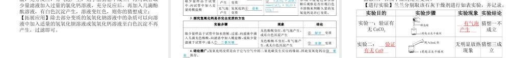 （河北专版）中考化学总复习 第一部分 系统复习 成绩基石 模块一 身边的化学物质 主题六 酸和碱 第1课时 常见酸、碱的性质和用途课件 新人教版-新人教版初中九年级全册化学课件