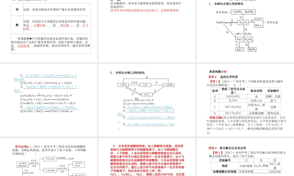 （河北专版）中考化学总复习 第一部分 系统复习 成绩基石 模块一 身边的化学物质 主题七 盐、化肥课件 新人教版-新人教版初中九年级全册化学课件