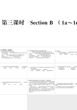 （河北专版）秋九年级英语全册 Unit 10 You’re supposed to shake hands第三课时习题课件（新版）人教新目标版-（新版）人教新目标版初中九年级全册英语课件