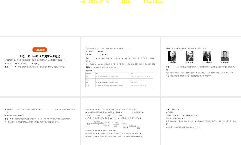 （河南专版）中考化学复习 专题六 盐 化肥（试卷部分）课件-人教版初中九年级全册化学课件