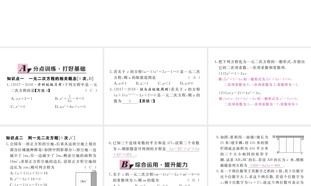 （河南专版）秋九年级数学上册 第二章 一元二次方程 2.1 认识一元二次方程 第1课时 一元二次方程习题讲评课件 （新版）北师大版-（新版）北师大版初中九年级上册数学课件