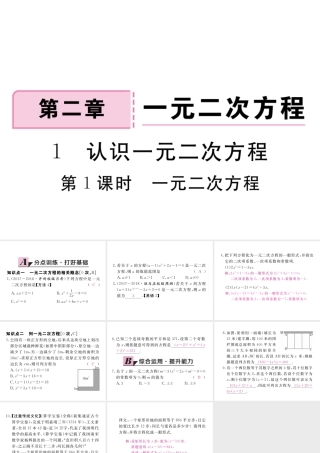 （河南专版）秋九年级数学上册 第二章 一元二次方程 2.1 认识一元二次方程 第1课时 一元二次方程习题讲评课件 （新版）北师大版-（新版）北师大版初中九年级上册数学课件