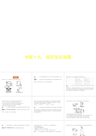 （河南专版）中考化学复习 专题十九 探究性实验题（试卷部分）课件-人教版初中九年级全册化学课件