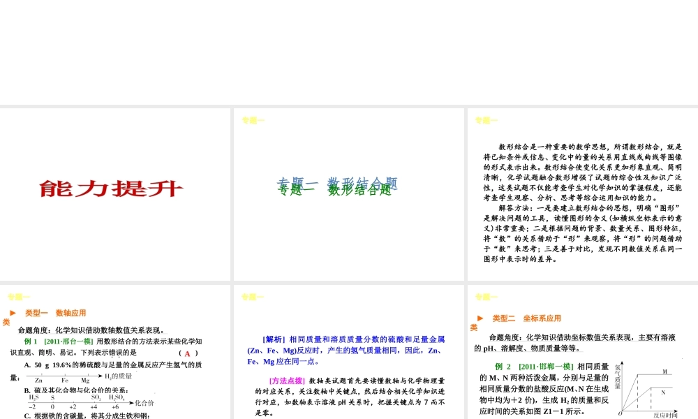 （河北专用）2013届中考化学复习方案 能力提升课件 