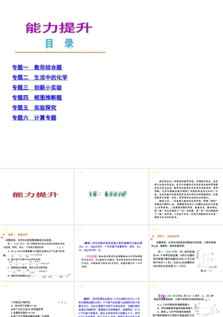 （河北专用）2013届中考化学复习方案 能力提升课件 