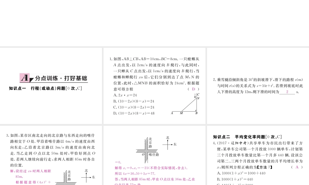（河南专版）秋九年级数学上册 第二章 一元二次方程 2.6 应用一元二次方程 第1课时 行程（或动点）问题及平均变化率问题习题讲评课件 （新版）北师大版-（新版）北师大版初中九年级上册数学课件