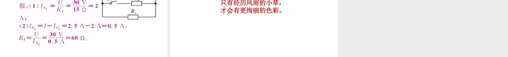 （河北专版）中考物理总复习 第一编 教材知识梳理 第十三讲 欧姆定律 优化训练20 欧姆定律及其相关计算课件-人教版初中九年级全册物理课件