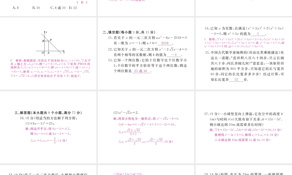 （河南专版）秋九年级数学上册 第二章 一元二次方程检测卷习题讲评课件 （新版）北师大版-（新版）北师大版初中九年级上册数学课件