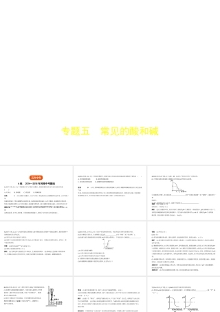 （河南专版）中考化学复习 专题五 常见的酸和碱（试卷部分）课件-人教版初中九年级全册化学课件