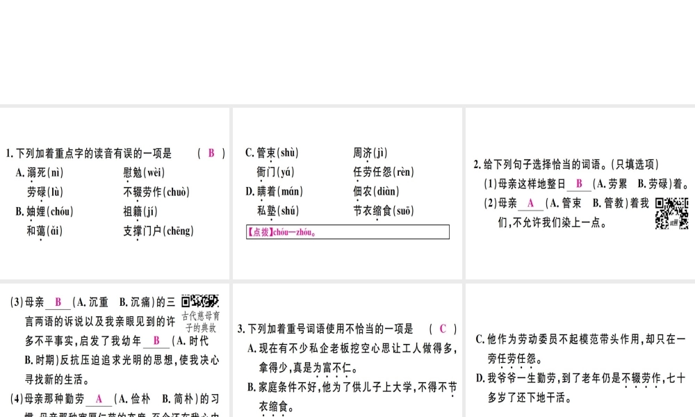 （河北专用）八年级语文上册 第二单元 6 回忆我的母亲习题课件 新人教版-新人教版初中八年级上册语文课件