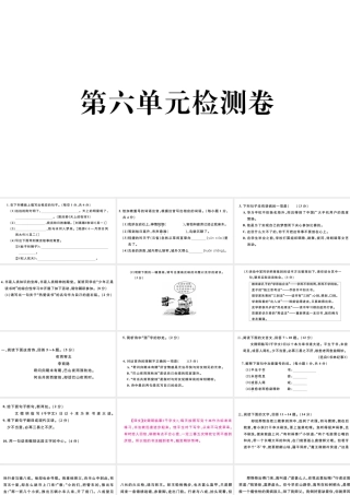 （河北专版）秋七年级语文上册 第六单元检测卷课件 新人教版-新人教版初中七年级上册语文课件