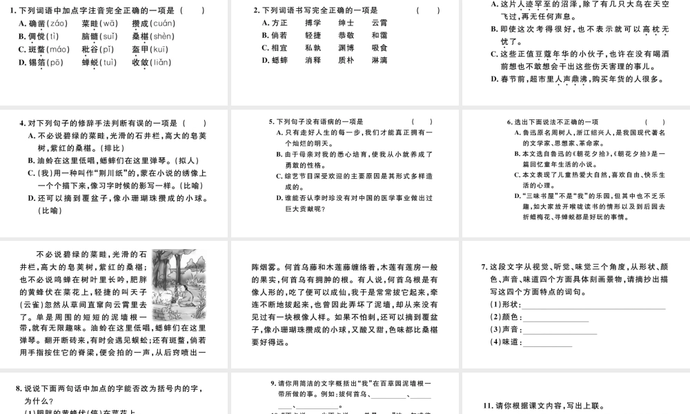 （河北专版）秋七年级语文上册 第三单元 9 从百草园到三味书屋习题课件 新人教版-新人教版初中七年级上册语文课件