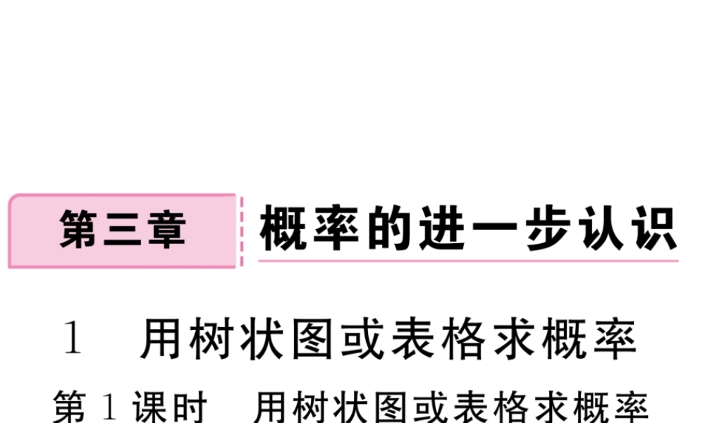 （河南专版）秋九年级数学上册 第三章 概率的进一步认识 3.1 用树状图或表格求概率 第1课时 用树状图或表格求概率习题讲评课件 （新版）北师大版-（新版）北师大版初中九年级上册数学课件