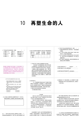 （河北专版）秋七年级语文上册 第三单元 10 再塑生命的人习题课件 新人教版-新人教版初中七年级上册语文课件