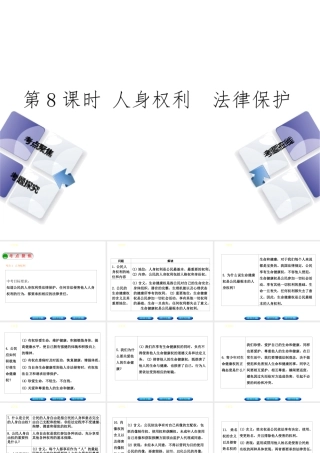 （河北专版）中考政治复习方案 第三单元 行使权利 依法维权 第8课时 人身权利 法律保护课件-人教版初中九年级全册政治课件