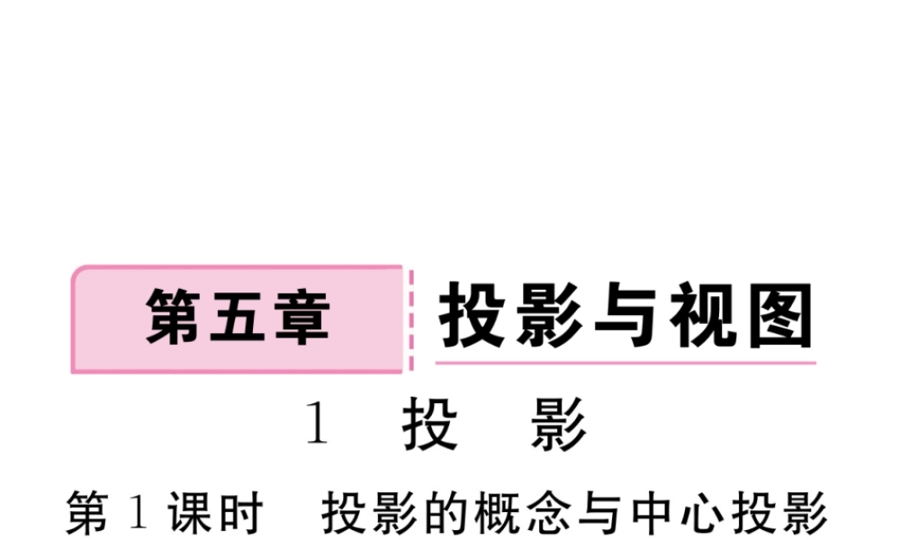 （河南专版）秋九年级数学上册 第五章 投影与视图 5.1 投影 第1课时 投影的概念与中心投影习题讲评课件 （新版）北师大版-（新版）北师大版初中九年级上册数学课件