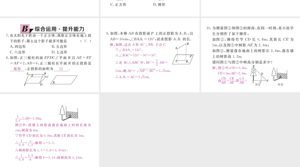 （河南专版）秋九年级数学上册 第五章 投影与视图 5.1 投影 第2课时 平行投影与中心投影习题讲评课件 （新版）北师大版-（新版）北师大版初中九年级上册数学课件