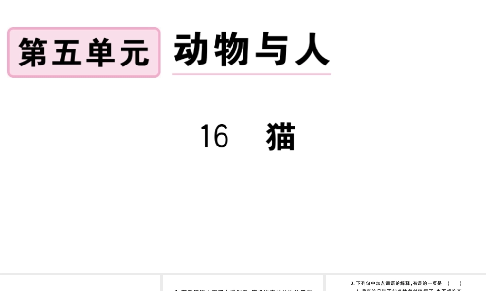 （河北专版）秋七年级语文上册 第五单元 16 猫习题课件 新人教版-新人教版初中七年级上册语文课件