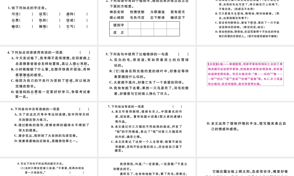 （河北专版）秋七年级语文上册 第五单元 16 猫习题课件 新人教版-新人教版初中七年级上册语文课件