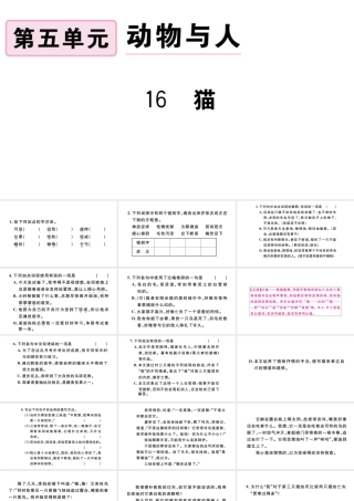（河北专版）秋七年级语文上册 第五单元 16 猫习题课件 新人教版-新人教版初中七年级上册语文课件