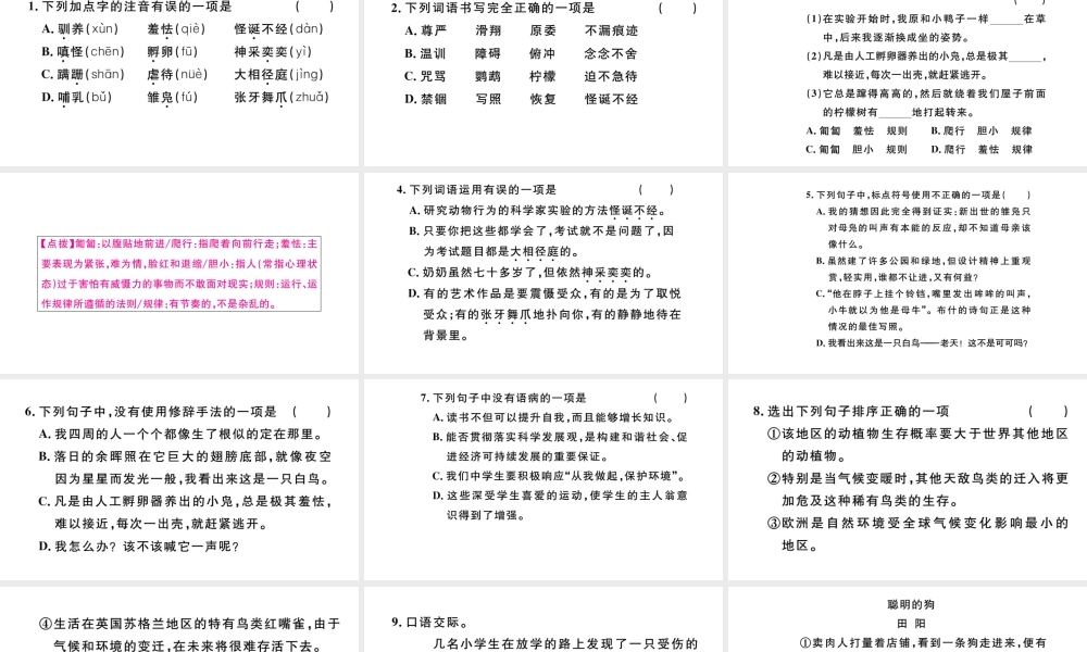 （河北专版）秋七年级语文上册 第五单元 17 动物笑谈习题课件 新人教版-新人教版初中七年级上册语文课件