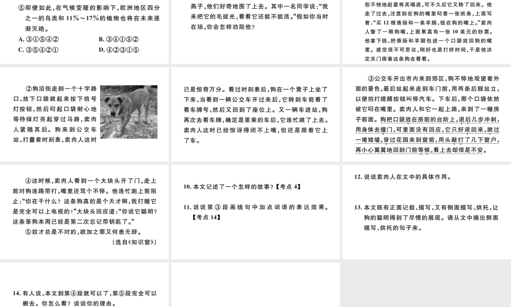 （河北专版）秋七年级语文上册 第五单元 17 动物笑谈习题课件 新人教版-新人教版初中七年级上册语文课件