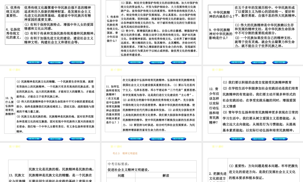 （河北专版）中考政治复习方案 第五单元 知晓国情 报效祖国 第17课时 多元文化 民族精神课件-人教版初中九年级全册政治课件