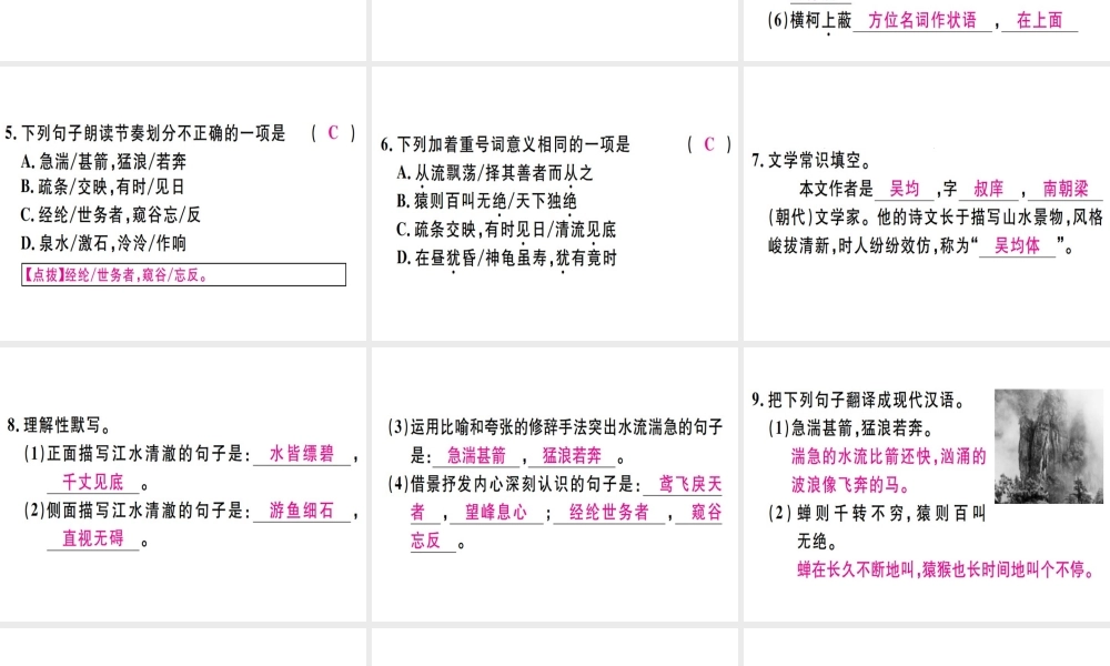 （河北专用）八年级语文上册 第三单元 11 与朱元思书习题课件 新人教版-新人教版初中八年级上册语文课件