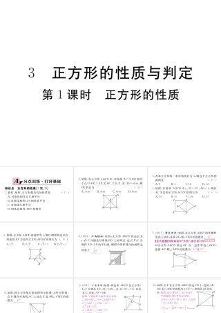 （河南专版）秋九年级数学上册 第一章 特殊平行四边形 1.3 正方形的性质与判定 第1课时 正方形的性质习题讲评课件 （新版）北师大版-（新版）北师大版初中九年级上册数学课件