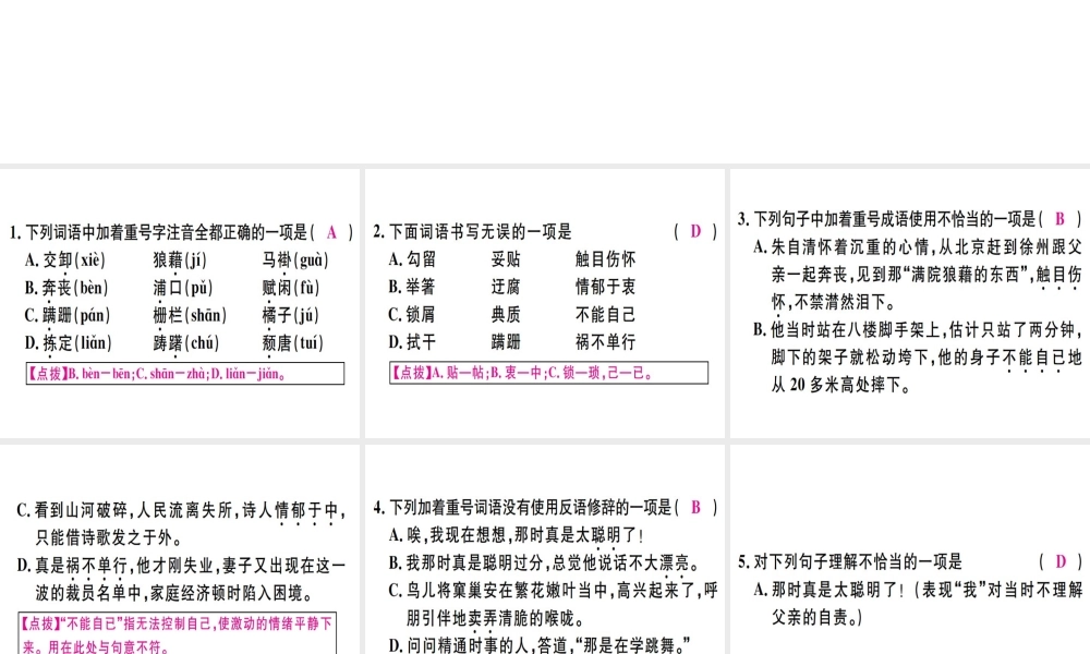 （河北专用）八年级语文上册 第四单元 13 背影习题课件 新人教版-新人教版初中八年级上册语文课件