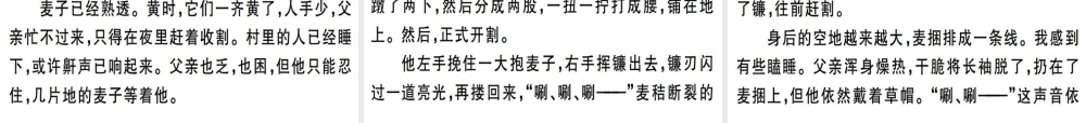 （河北专用）八年级语文上册 第四单元 13 背影习题课件 新人教版-新人教版初中八年级上册语文课件