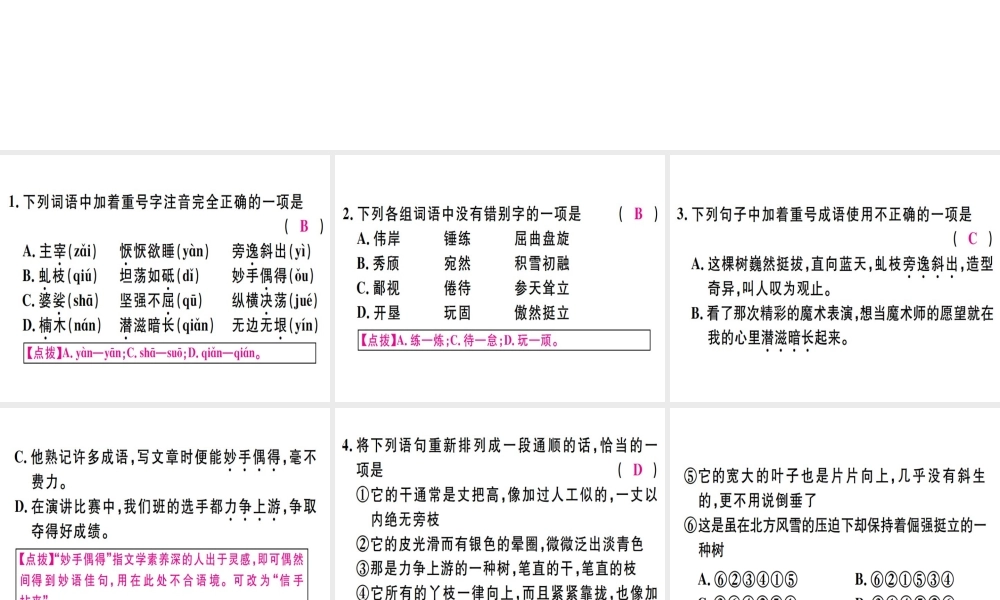 （河北专用）八年级语文上册 第四单元 14 白杨礼赞习题课件 新人教版-新人教版初中八年级全册语文课件