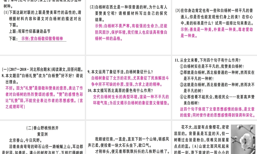 （河北专用）八年级语文上册 第四单元 14 白杨礼赞习题课件 新人教版-新人教版初中八年级全册语文课件