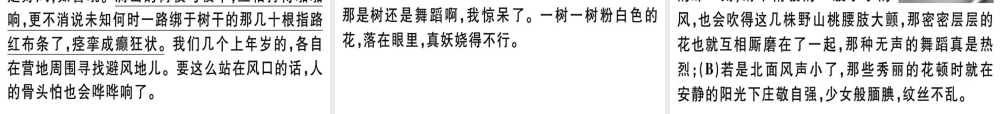 （河北专用）八年级语文上册 第四单元 14 白杨礼赞习题课件 新人教版-新人教版初中八年级全册语文课件