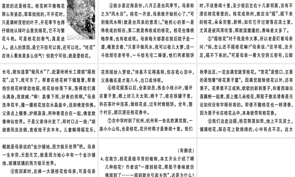 （河北专用）八年级语文上册 第四单元 16 昆明的雨习题课件 新人教版-新人教版初中八年级全册语文课件