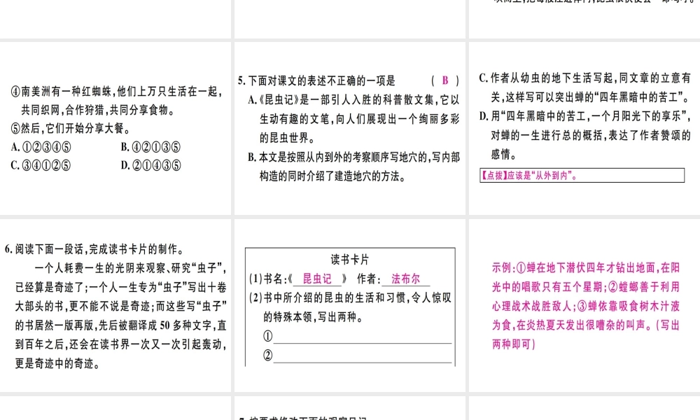 （河北专用）八年级语文上册 第五单元 19 蝉习题课件 新人教版-新人教版初中八年级上册语文课件