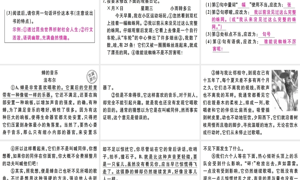 （河北专用）八年级语文上册 第五单元 19 蝉习题课件 新人教版-新人教版初中八年级上册语文课件