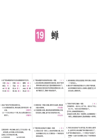 （河北专用）八年级语文上册 第五单元 19 蝉习题课件 新人教版-新人教版初中八年级上册语文课件