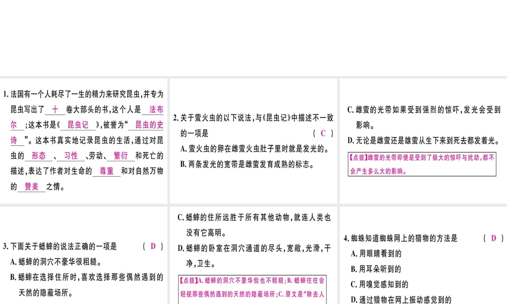 （河北专用）八年级语文上册 第五单元 名著导读《昆虫记》科普作品的阅读习题课件 新人教版-新人教版初中八年级上册语文课件