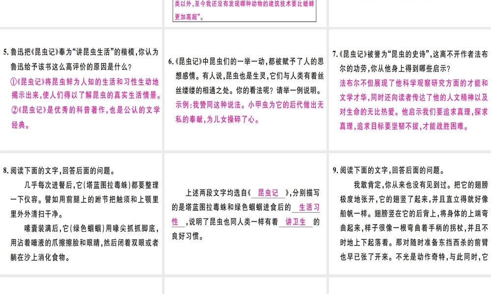 （河北专用）八年级语文上册 第五单元 名著导读《昆虫记》科普作品的阅读习题课件 新人教版-新人教版初中八年级上册语文课件
