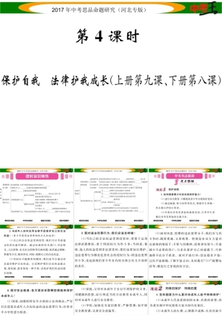（河北专版）中考政治总复习 考点梳理 第4课时 保护自我 法律护我成长（八上 第九课、下册第八课）课件-人教版初中九年级下册政治课件