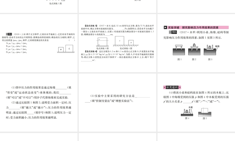 （河北专版）秋中考物理总复习 第10讲 压强课件-人教版初中九年级全册物理课件