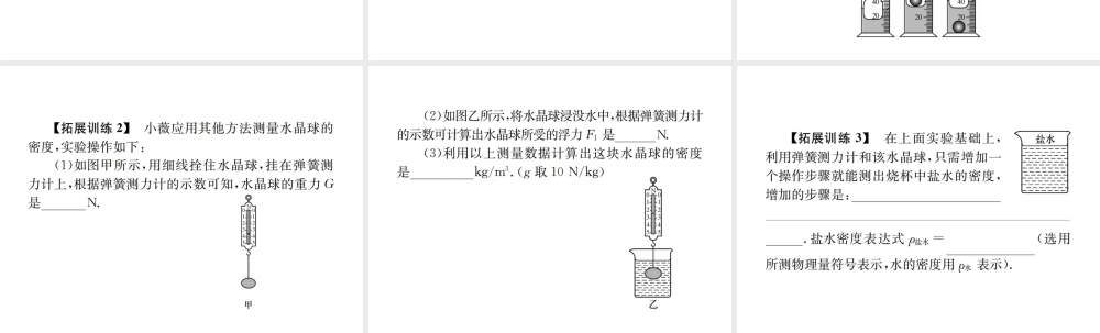 （河北专版）秋中考物理总复习 第12讲 测量物质的密度课件-人教版初中九年级全册物理课件